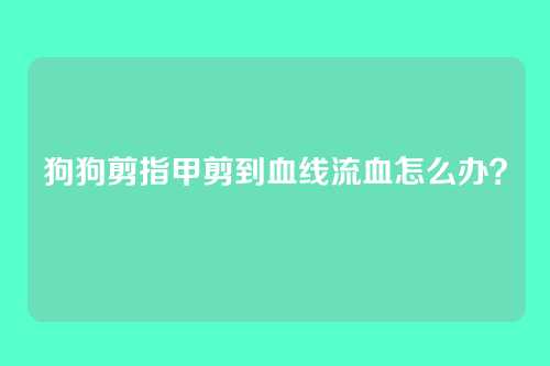 狗狗剪指甲剪到血线流血怎么办?