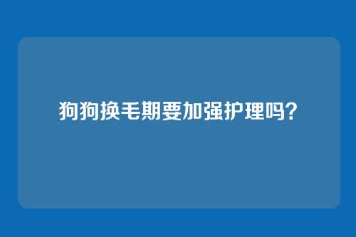 狗狗换毛期要加强护理吗?