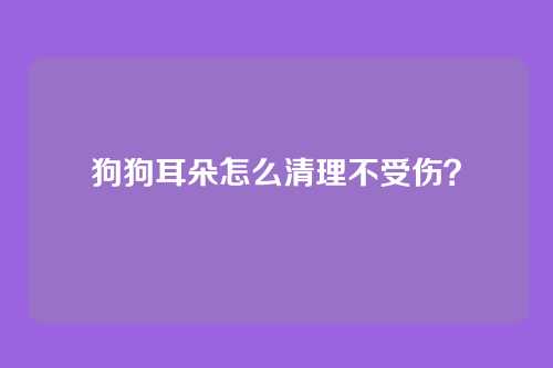 狗狗耳朵怎么清理不受伤?