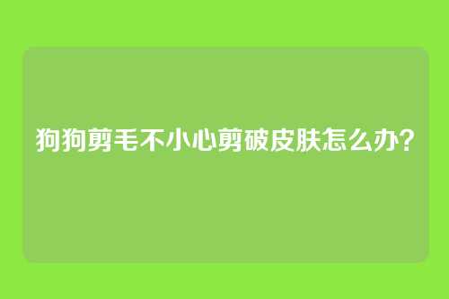 狗狗剪毛不小心剪破皮肤怎么办?