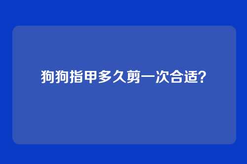 狗狗指甲多久剪一次合适?