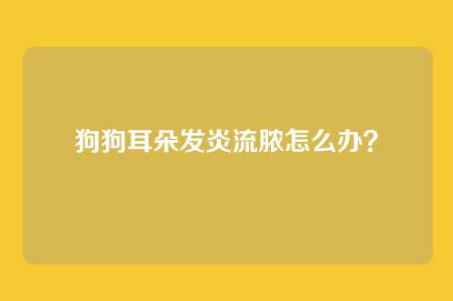 狗狗耳朵发炎流脓怎么办?