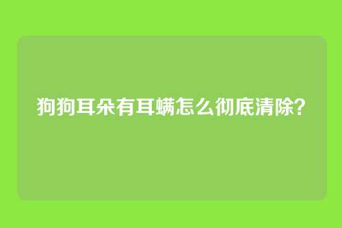 狗狗耳朵有耳螨怎么彻底清除?