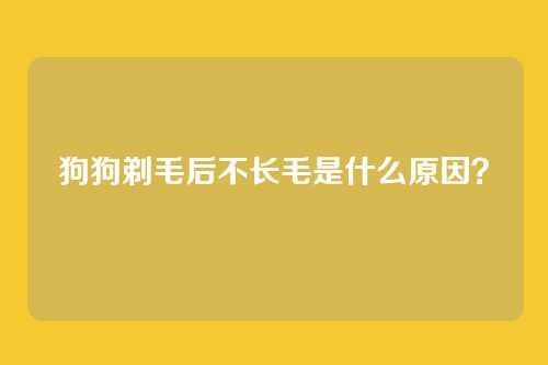 狗狗剃毛后不长毛是什么原因?