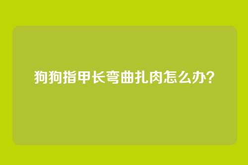 狗狗指甲长弯曲扎肉怎么办?