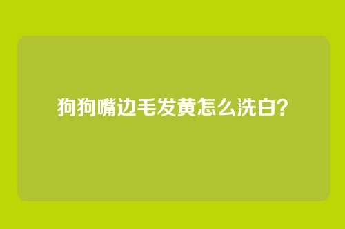 狗狗嘴边毛发黄怎么洗白?