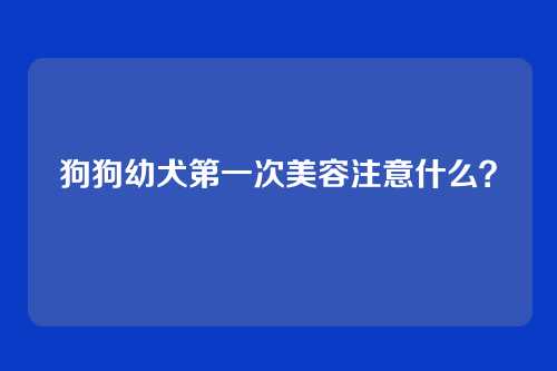 狗狗幼犬第一次美容注意什么?