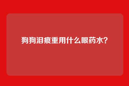 狗狗泪痕重用什么眼药水?