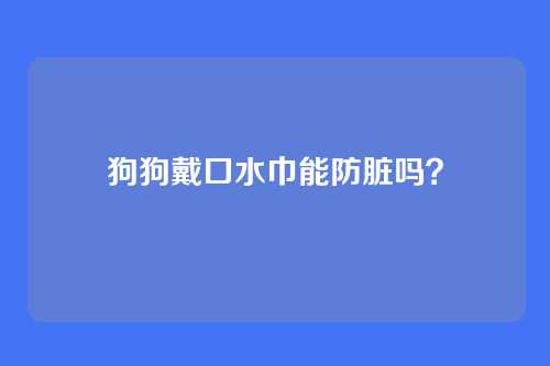 狗狗戴口水巾能防脏吗？
