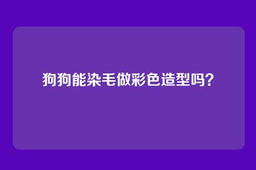 狗狗能染毛做彩色造型吗?