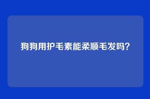 狗狗用护毛素能柔顺毛发吗?