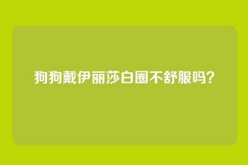 狗狗戴伊丽莎白圈不舒服吗?