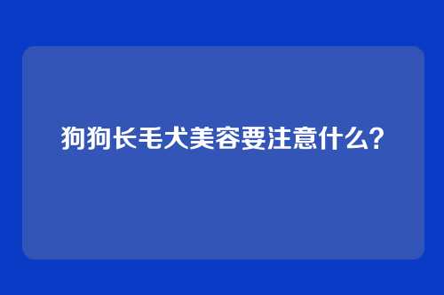 狗狗长毛犬美容要注意什么?