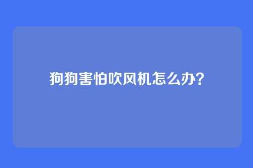 狗狗害怕吹风机怎么办？