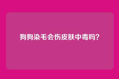 狗狗染毛会伤皮肤中毒吗?