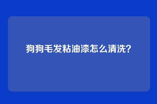 狗狗毛发粘油漆怎么清洗?