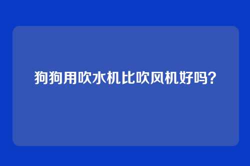 狗狗用吹水机比吹风机好吗？