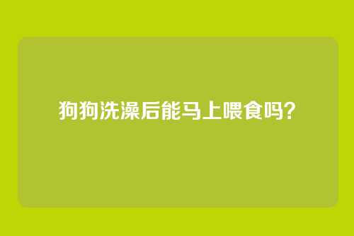 狗狗洗澡后能马上喂食吗？