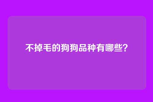 不掉毛的狗狗品种有哪些？