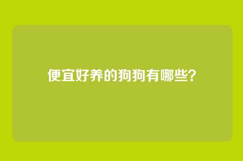 便宜好养的狗狗有哪些?