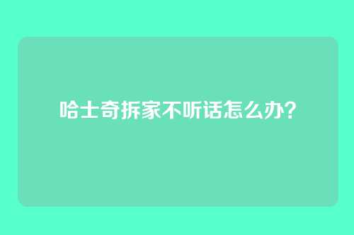 哈士奇拆家不听话怎么办？