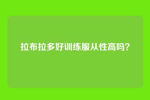 拉布拉多好训练服从性高吗?