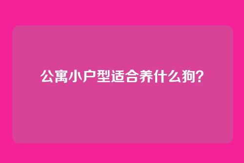 公寓小户型适合养什么狗？
