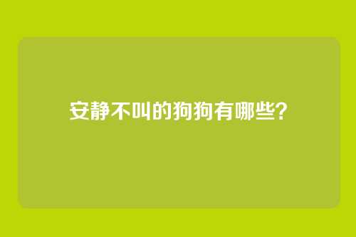 安静不叫的狗狗有哪些?
