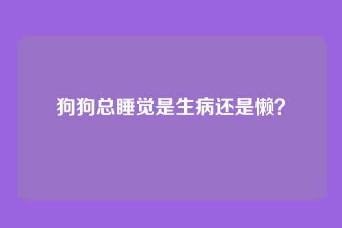 狗狗总睡觉是生病还是懒?