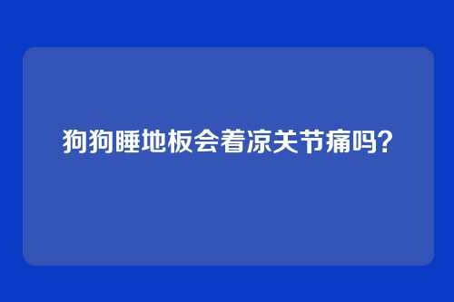 狗狗睡地板会着凉关节痛吗?