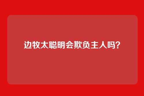 边牧太聪明会欺负主人吗?