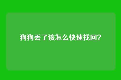 狗狗丢了该怎么快速找回？