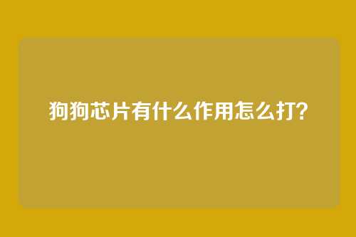 狗狗芯片有什么作用怎么打?