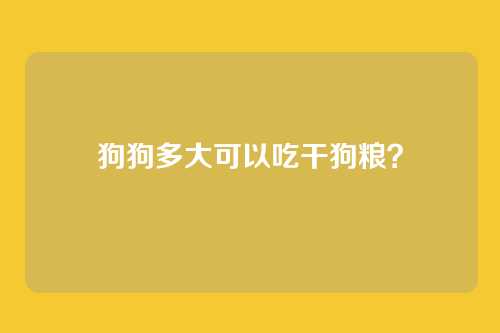 狗狗多大可以吃干狗粮?