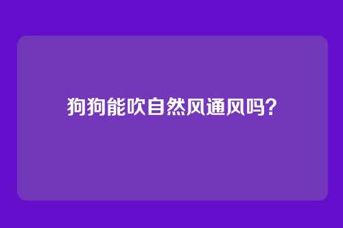 狗狗能吹自然风通风吗？