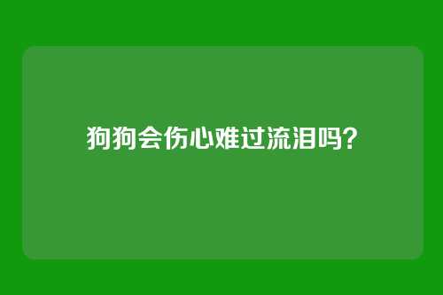 狗狗会伤心难过流泪吗？