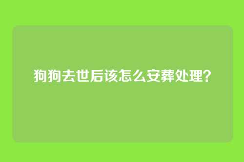 狗狗去世后该怎么安葬处理？