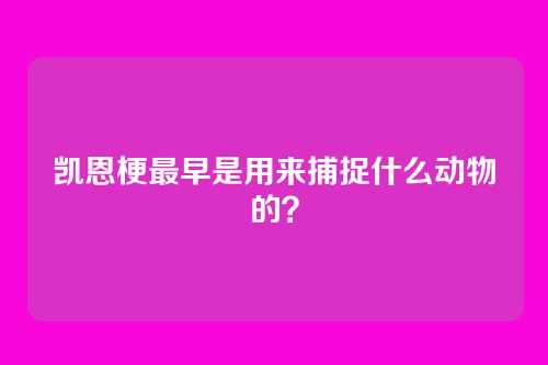 凯恩梗最早是用来捕捉什么动物的?