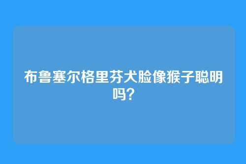 布鲁塞尔格里芬犬脸像猴子聪明吗?