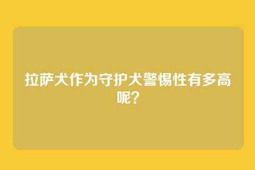 拉萨犬作为守护犬警惕性有多高呢?