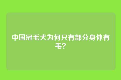 中国冠毛犬为何只有部分身体有毛？