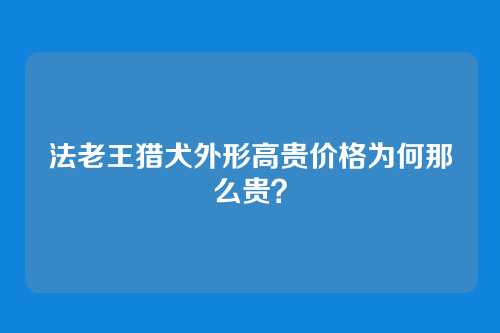 法老王猎犬外形高贵价格为何那么贵？