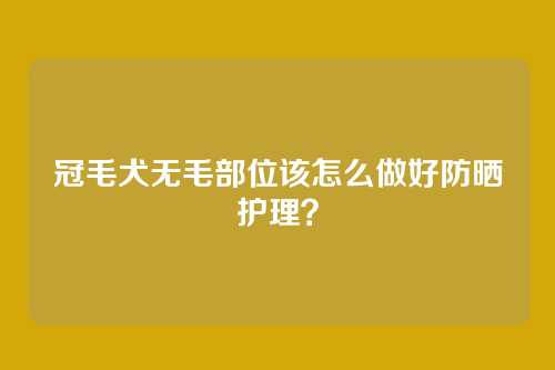 冠毛犬无毛部位该怎么做好防晒护理？
