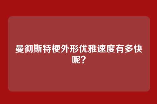 曼彻斯特梗外形优雅速度有多快呢?