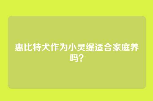 惠比特犬作为小灵缇适合家庭养吗?