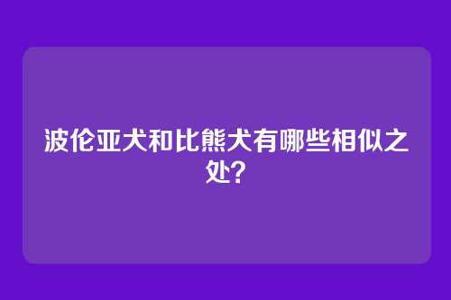 波伦亚犬和比熊犬有哪些相似之处？