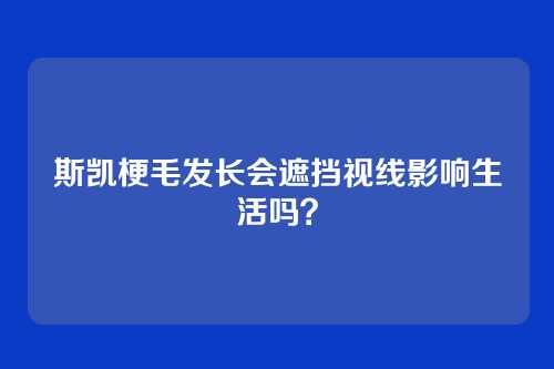 斯凯梗毛发长会遮挡视线影响生活吗？