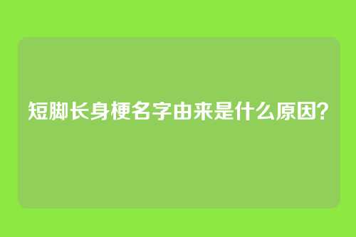 短脚长身梗名字由来是什么原因？