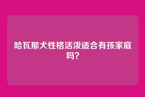 哈瓦那犬性格活泼适合有孩家庭吗？