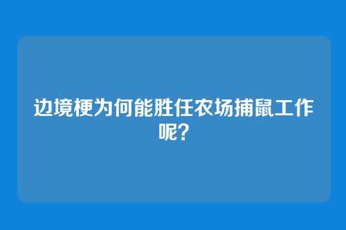 边境梗为何能胜任农场捕鼠工作呢?